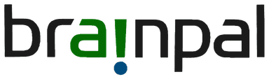 BrainPal