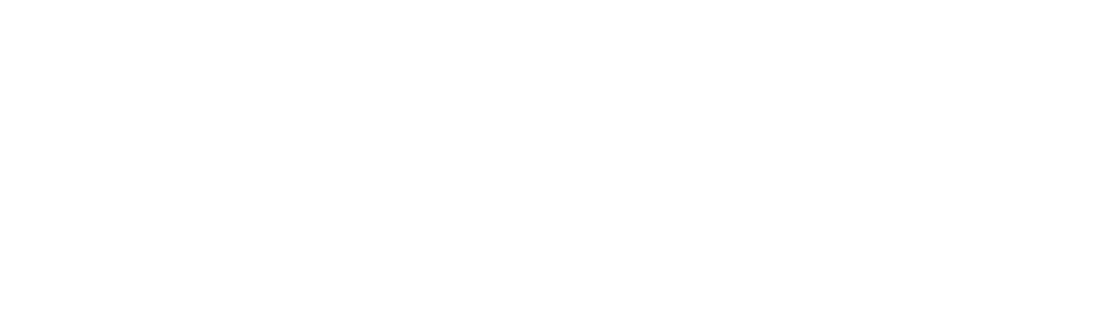 BrainPal